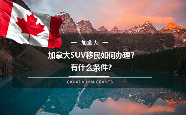加拿大SUV移民如何办理？有什么条件？1.jpg
