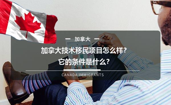 加拿大技术移民项目怎么样？它的条件是什么？1.jpg