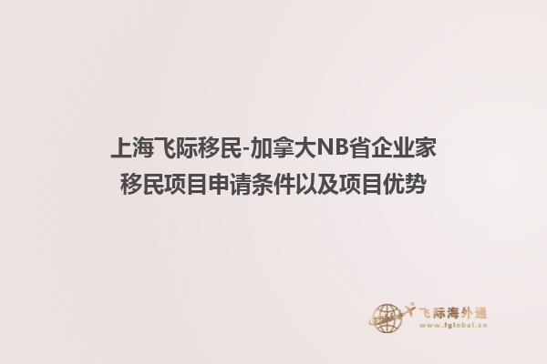 上海飞际移民-加拿大NB省企业家移民项目申请条件以及项目优势