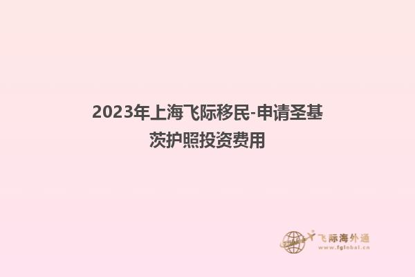 2023年上海飞际移民-申请圣基茨护照投资费用