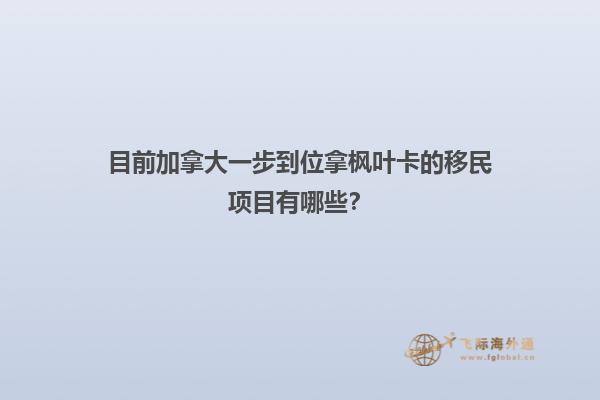 目前加拿大一步到位拿枫叶卡的移民项目有哪些？