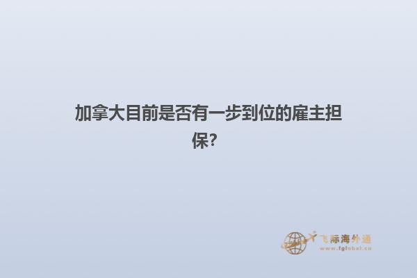 加拿大目前是否有一步到位的雇主担保？