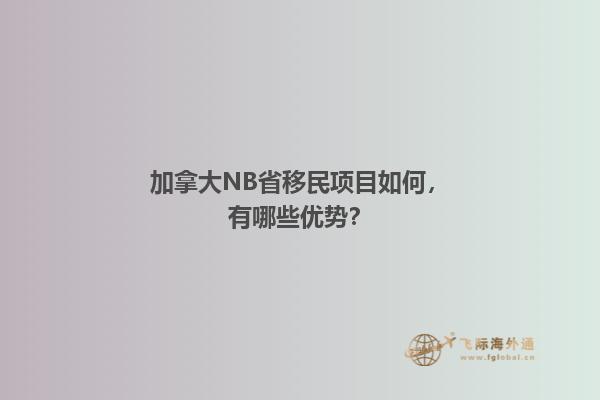 加拿大NB省移民项目如何，有哪些优势？