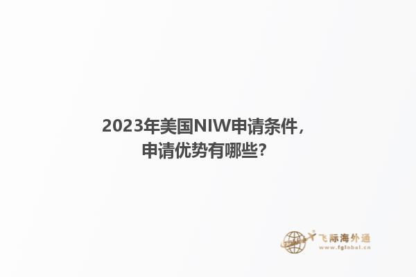 2022年美国NIW申请条件，申请优势有哪些？1.jpg