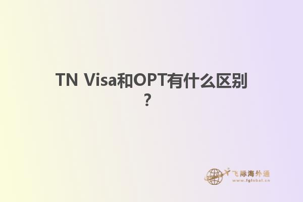 TN Visa和OPT有什么区别？