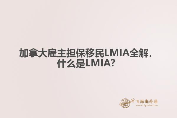 加拿大雇主担保移民LMIA全解，什么是LMIA？