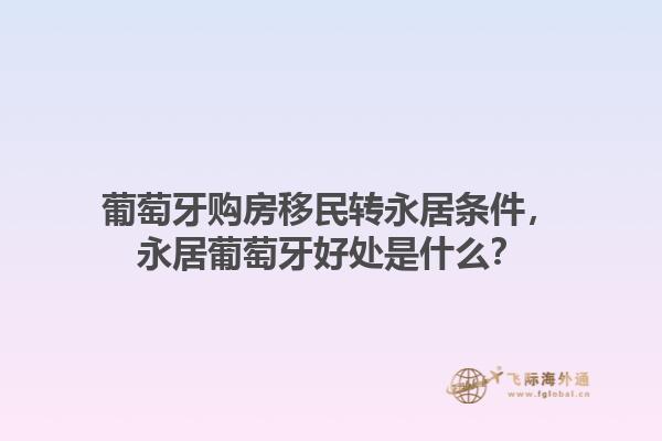 葡萄牙购房移民转永居条件，永居葡萄牙好处是什么？