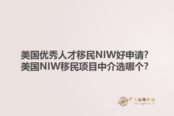 美国优秀人才移民NIW好申请？美国NIW移民项目中介选哪个？