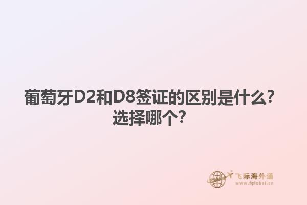 葡萄牙D2和D8签证的区别是什么？选择哪个？