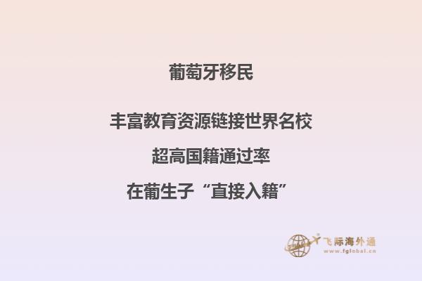 葡萄牙D2和D8签证的区别是什么？选择哪个？2.jpg