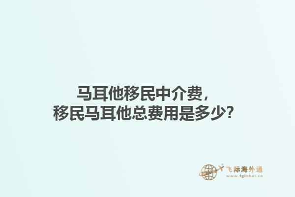 马耳他移民中介费，移民马耳他总费用是多少？