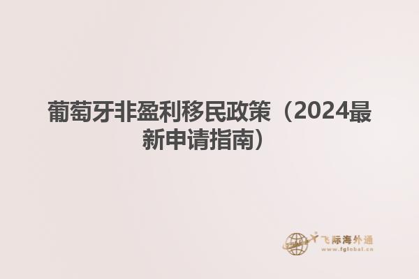 葡萄牙非盈利移民政策（2024最新申请指南）