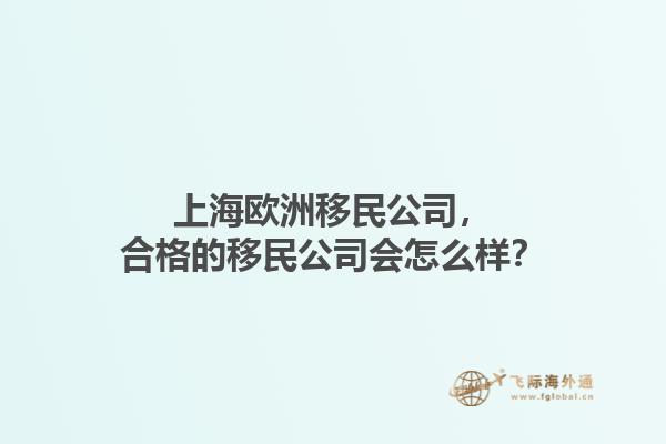 上海欧洲移民公司，合格的移民公司会怎么样？