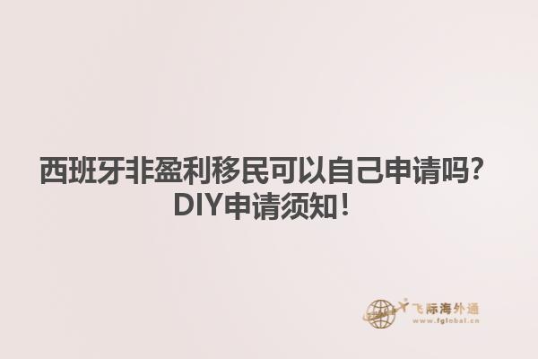 西班牙非盈利移民可以自己申请吗？DIY申请须知！