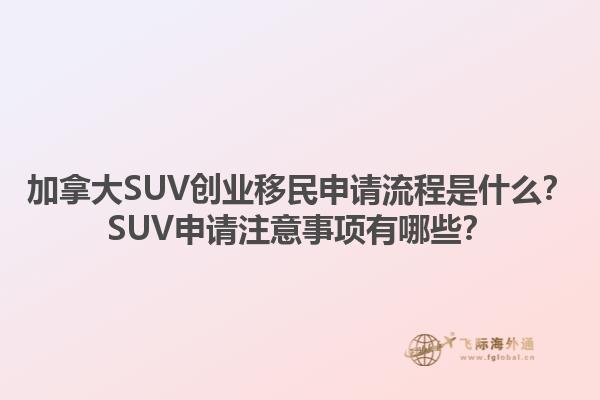 加拿大SUV创业移民申请流程是什么？SUV申请注意事项有哪些？