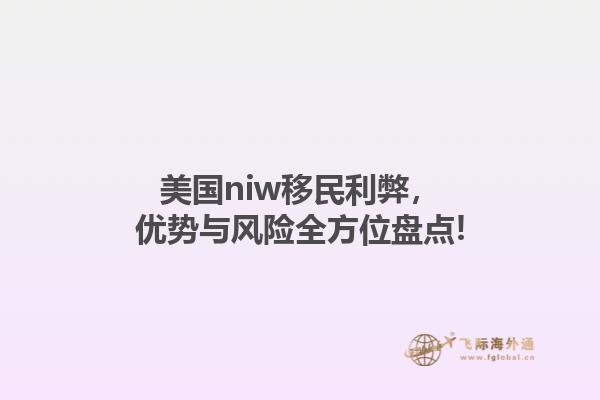 美国niw移民利弊，优势与风险全方位盘点!