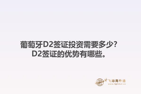 葡萄牙D2签证投资需要多少？D2签证的优势有哪些。1.jpg